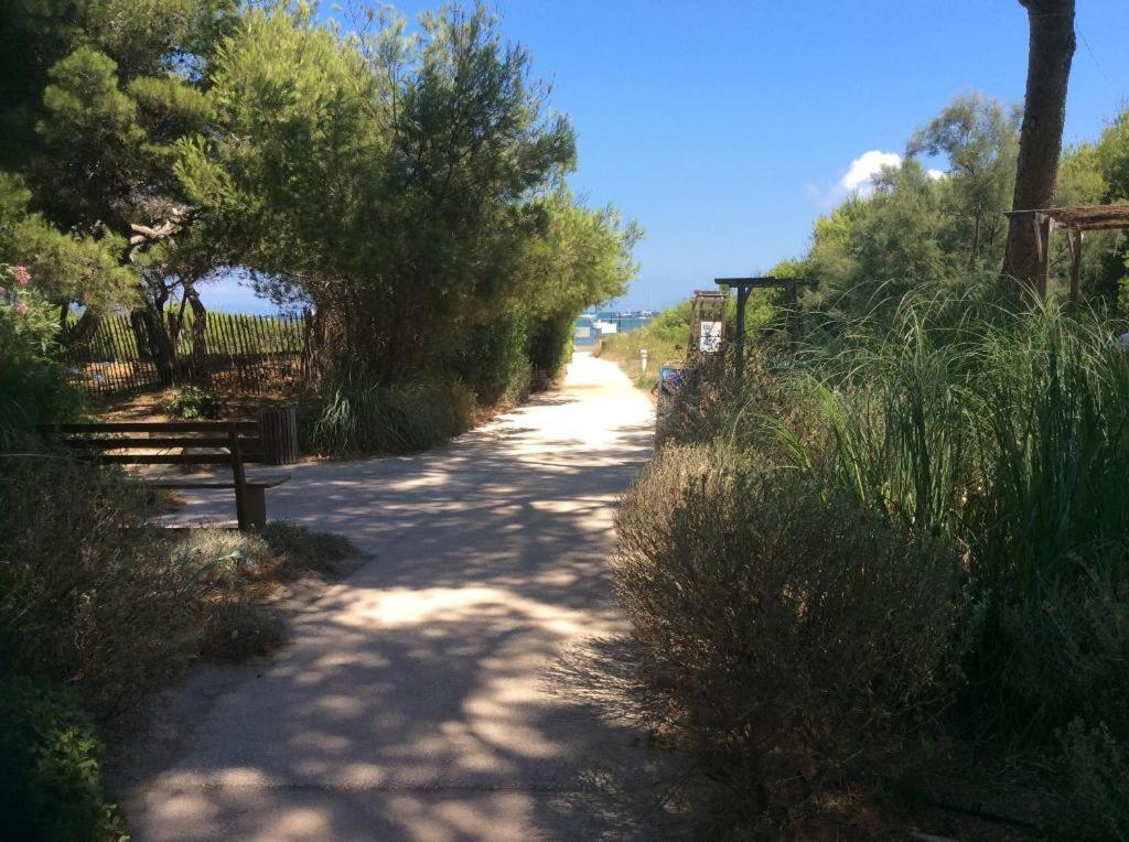 La Badine 5P Plage Piscine Clim Jacuzzi Parc Luxuriant Hyeres Exterior photo