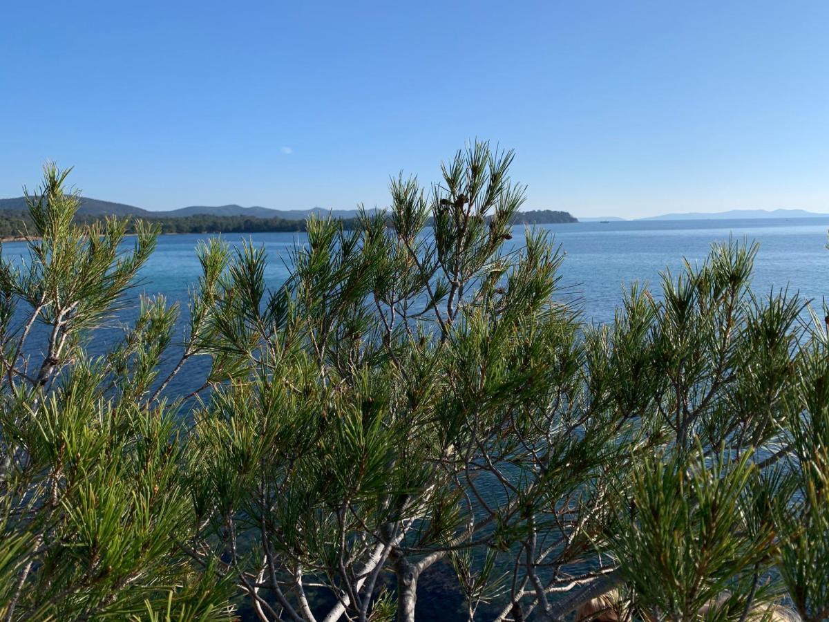 La Badine 5P Plage Piscine Clim Jacuzzi Parc Luxuriant Hyeres Exterior photo
